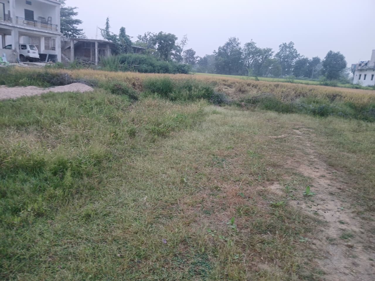 WhatsApp Image 2025-10-18 at 11.26.01 AM D