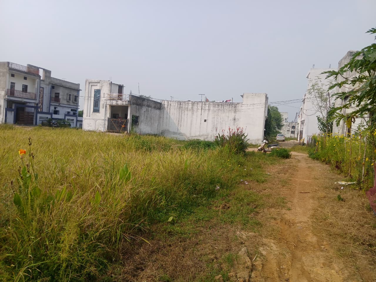 WhatsApp Image 2025-10-18 at 11.28.49 AM f