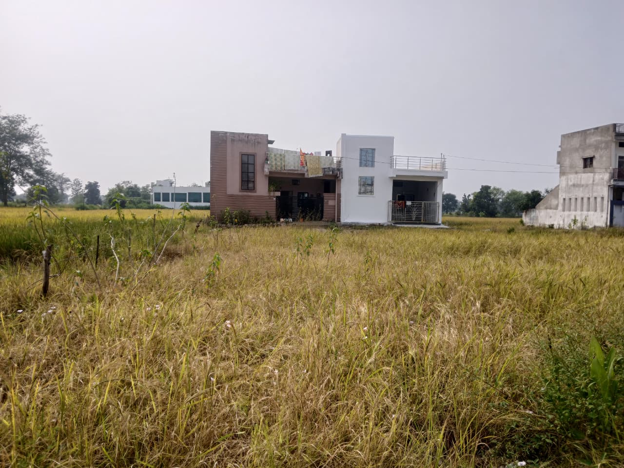 WhatsApp Image 2025-10-18 at 11.28.50 AM g