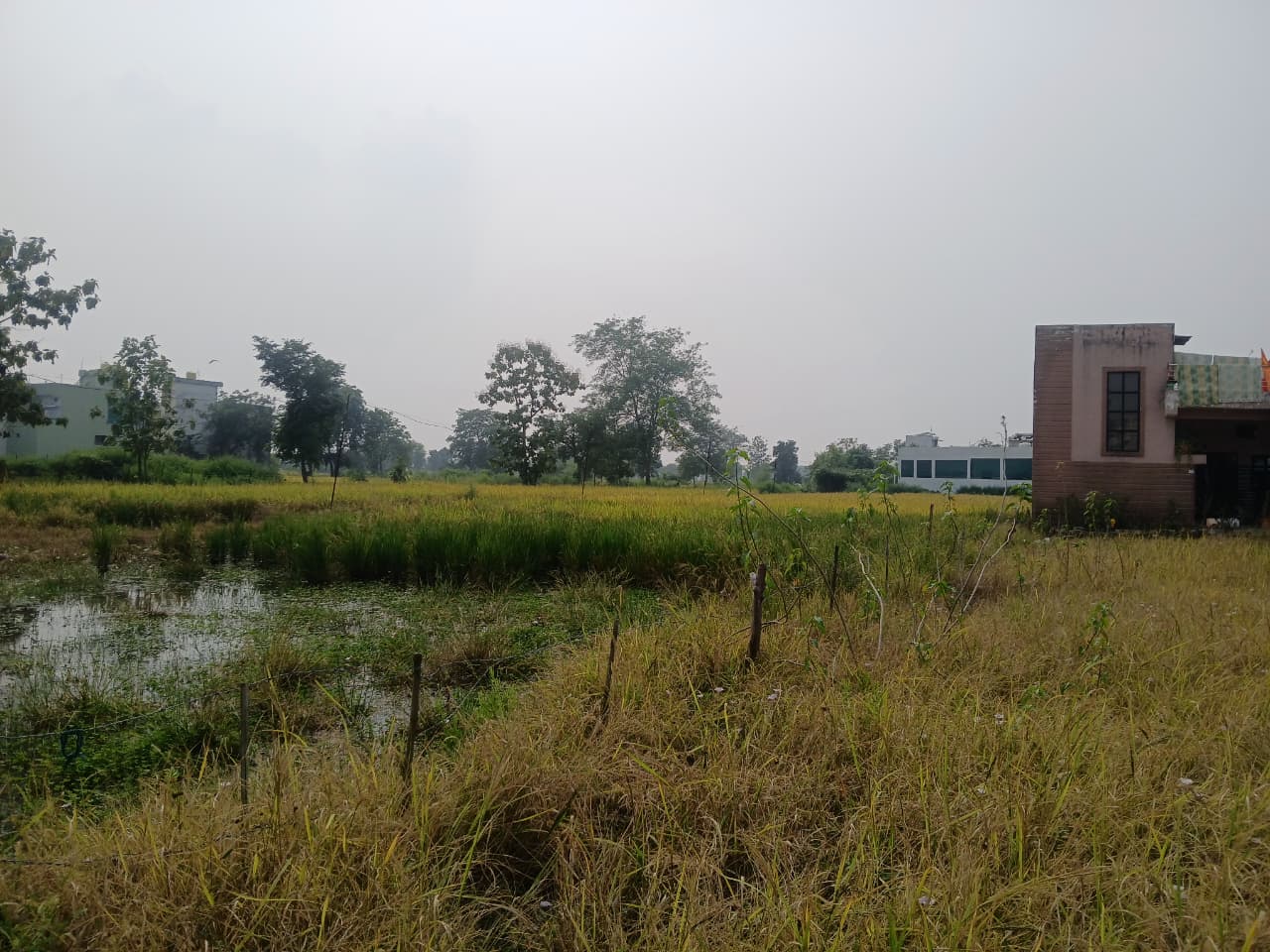 WhatsApp Image 2025-10-18 at 11.28.56 AM J