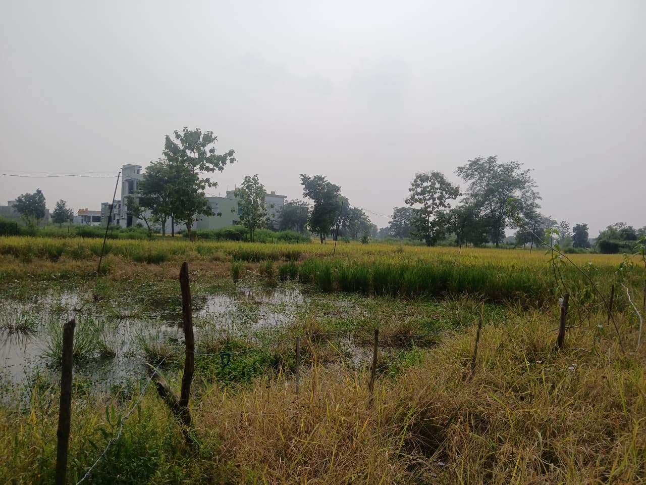 WhatsApp Image 2025-10-18 at 11.28.59 AM k